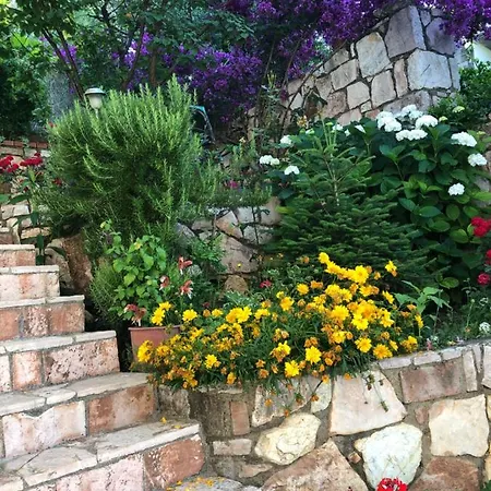 Apartament Erika's House Lukovë